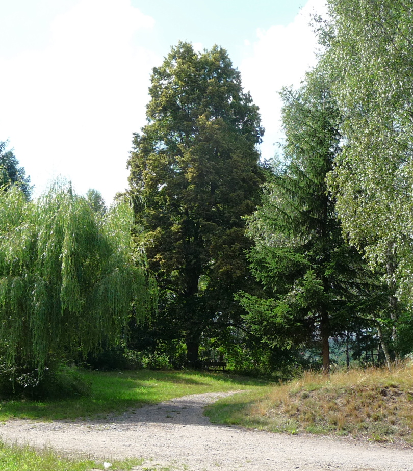 str.sl.10